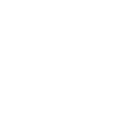 SpeedPro - The Mighty Apes